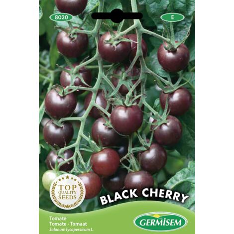 Germisem Black Cherry Pomodoro 20 Semi