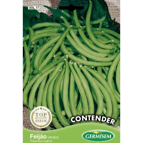 Germisem Contender Semi di Fagioli Francesi 100 g