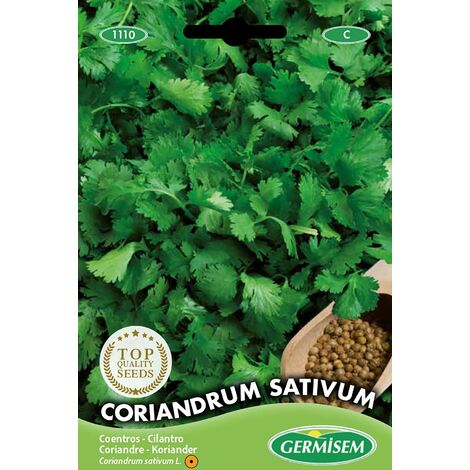 Germisem Coriandrum Sativum Semi di Coriandolo 10 g