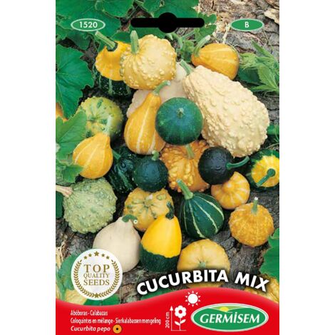 Germisem Cucurbita Mix Semi di Zucca 2 g