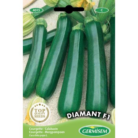 Germisem Diamant F1 Semi di Zucchine 2 g