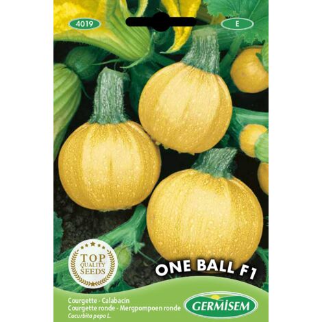 Germisem EC4019 One Ball F1, 5 Semi