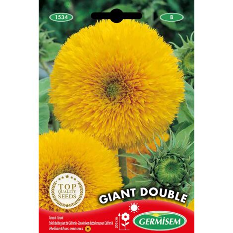 Germisem Giant Double Semi di Girasole 2 g