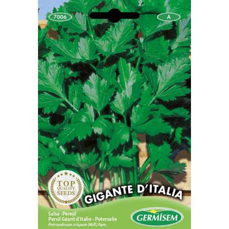 Germisem Gigante D'Italia Semi di Prezzemolo 10 g