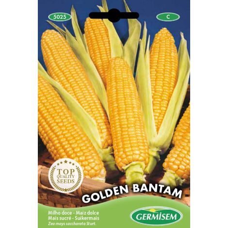 Germisem Golden Bantam Semi di Mais Dolce 10 g