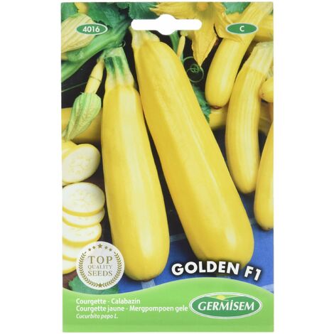 Germisem Golden F1 Semi di Zucchine Giallo 2 g