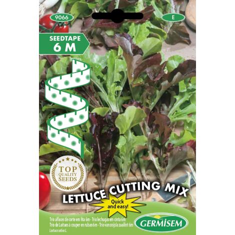 Germisem Lettuce Cutting Mix Semi di Ravanello su Nastro da 6 m