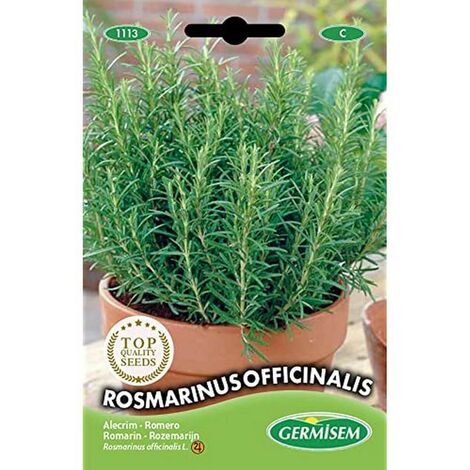 Germisem Rosmarinus Officinalis Semi di Rosmarino 0.3 g