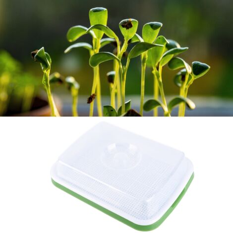 [Germoir] Bac de Germination Kit de Culture sans Sol avec Couverture Transparente et Trouages Denses 2 Plateaux 2 Couvercles [Plastique Haute Qualité] [600g 33x26cm]