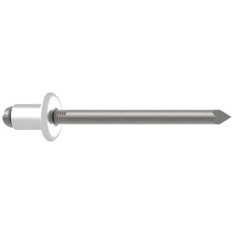 Gesipa 1433561 Rivet aveugle acier acier 500 pc(s) R700342