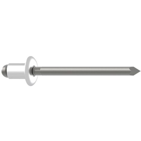 Gesipa 1433562 Rivet aveugle acier acier 250 pc(s)