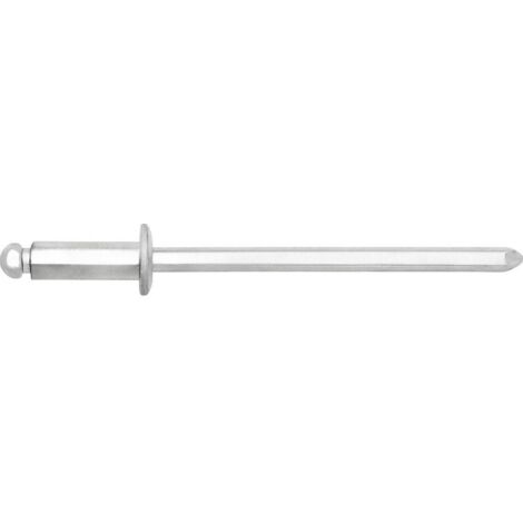 Gesipa 1538387 Rivet aveugle acier galvanisé acier galvanisé 500 pc(s) W994753