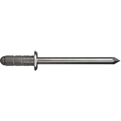 GESIPA Poly Grip Mehrbereichsniete Flachrundkopf 4.0x10 Aluminium mit A2-Dorn