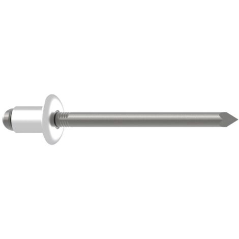 Gesipa Rivetti in acciaio inox 4,8 mm x 20 mm 250 pz