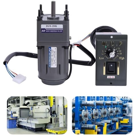 Schneckengetriebemotor 24V 45W - 160 RPM DC Motor Mit Untersetzungsgetriebe