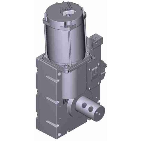 Getriebemotor Elektromotor G3000 Gard 3000 Barriere CAME 119RIG376 Ersatzteil