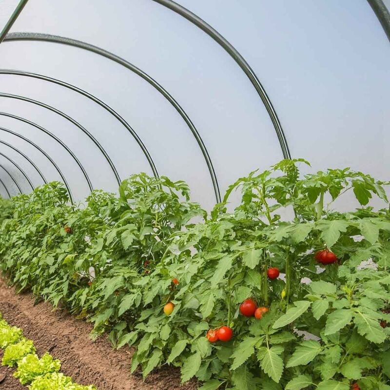 Gewächshausplane 6x13 m Tecplast 200SE - Transparente Kunststoffplane für Gartengewächshäuser - Hochleistung - Made in France