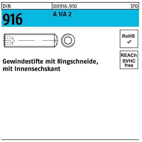 Gewindestift DIN 916 Ringschn./Innen-6-Kant M 8 x 20 A1/A 2