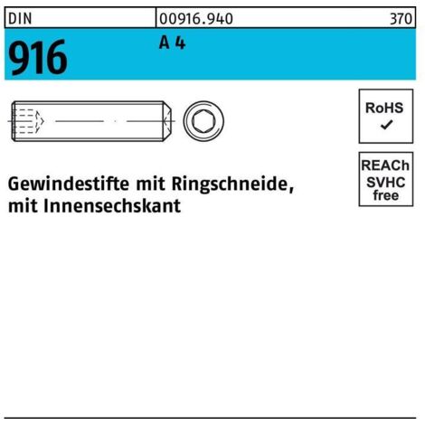 Gewindestift DIN 916 Ringschn./Innen-6kt M5x 6 A 4 500 Stück