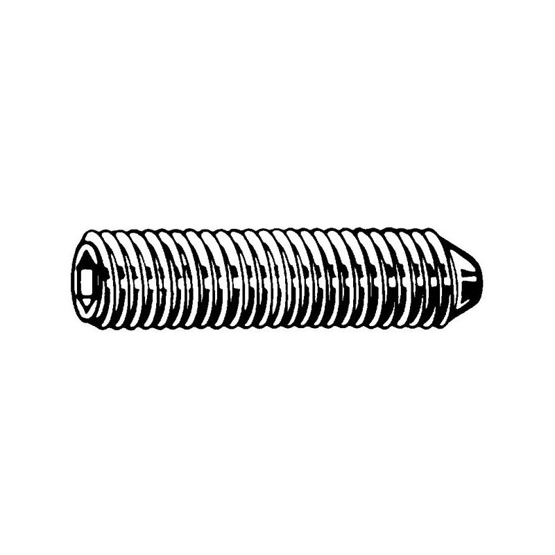 25 x M5X8 Madenschrauben DIN 914 Innensechskant+Spitze V2A