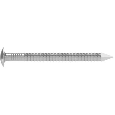 Gewölbter Kopf mit Rillen Spitze - Edelstahl A2 2,3x50mm - Packung mit 600