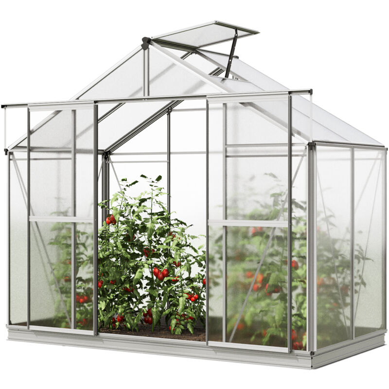 Gfp Serre de jardin Orchidee 2 structure en aluminium 256 x 131 cm panneaux en polycarbonate - avec cadre de fondation et ouvre-fenêtre automatique