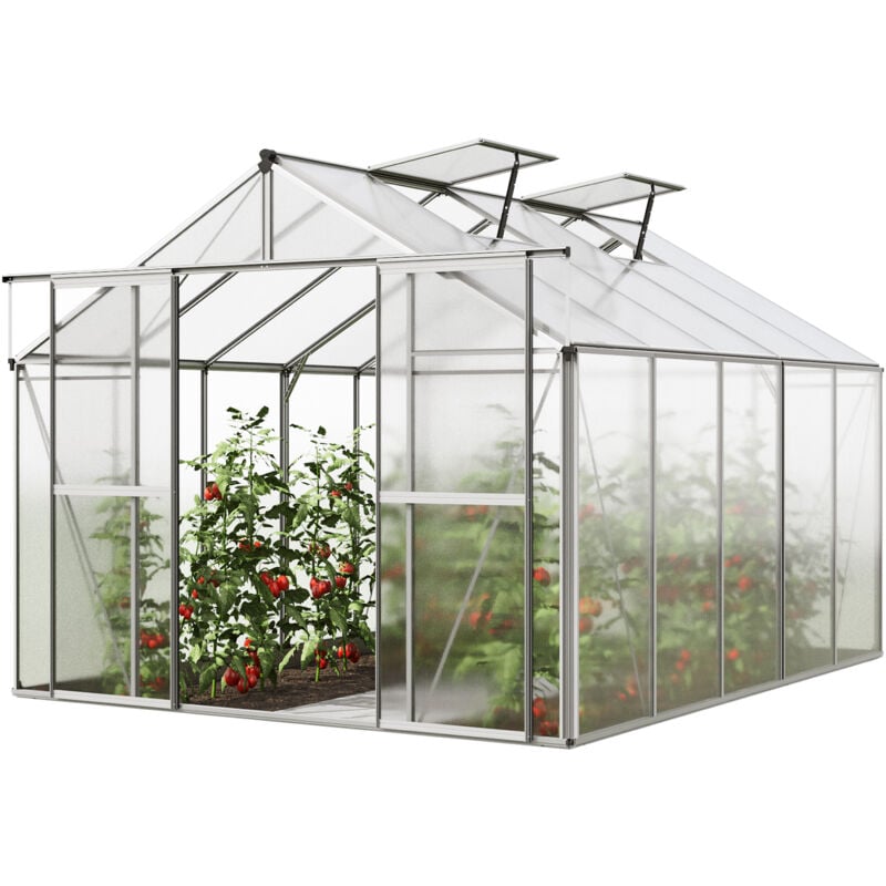 GFP Serre de jardin Orchidee 5 structure en aluminium 256 x 317 cm panneaux en polycarbonate - aluminium naturel