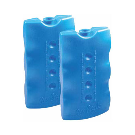 GHIACCIO SINTETICO-MATTONELLE GR.400 (PZ.2)- 10,0 confezione