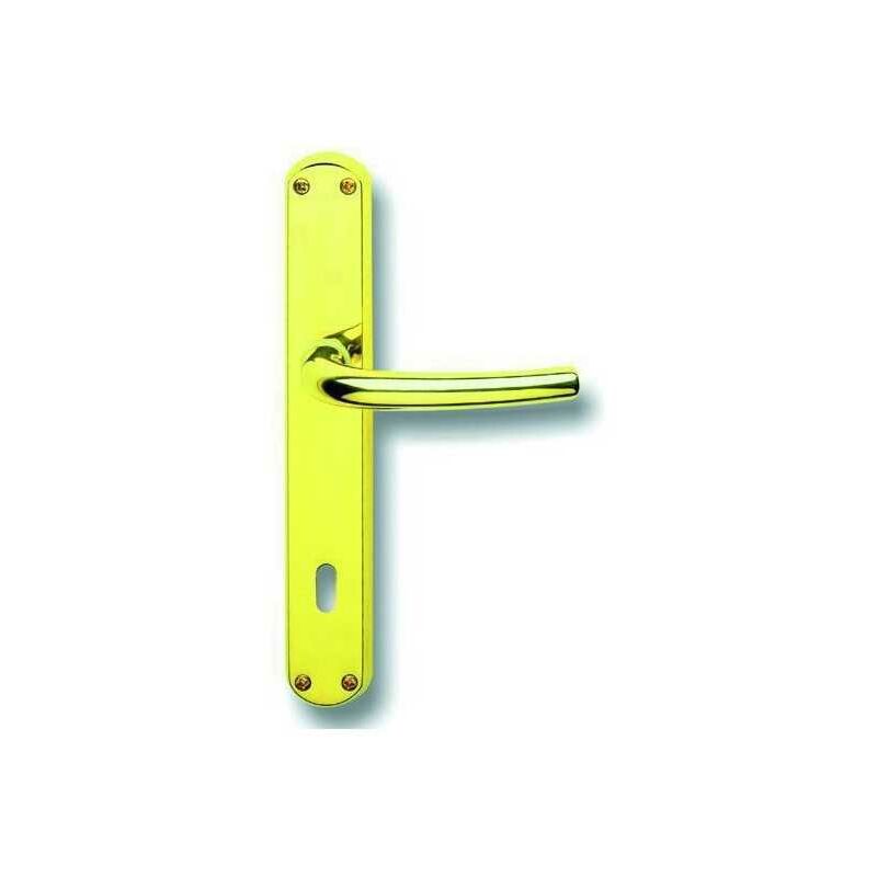 Milena Poignées en Laiton Poli avec Plaque Mm. 8X70