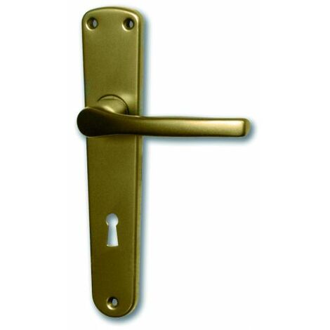 Ghidini MANIGLIA F4 FORO PATENT dist. 90 8 PZ