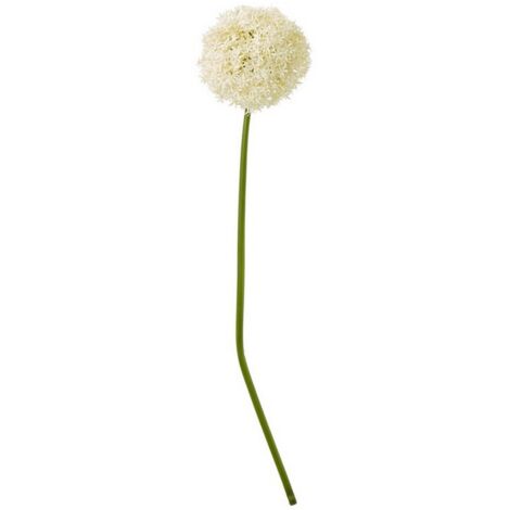 Giant Allium (Single Stem Flower) - Plastic - Height 90 cm - Cream
