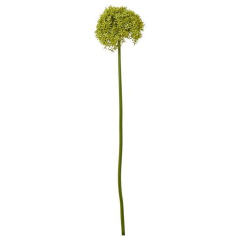 Giant Allium (Single Stem Flower) - Plastic - L21 x W21 x H90 cm - Green