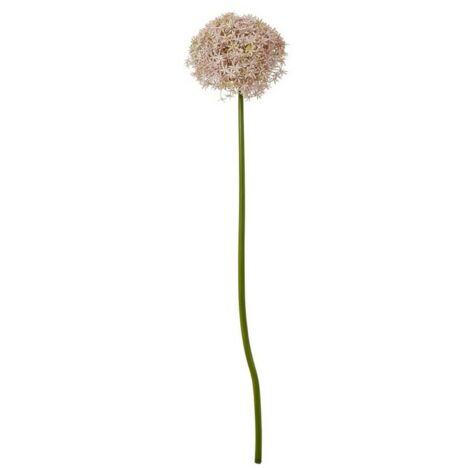 Giant Allium (Single Stem Flower) - Plastic - L21 x W21 x H90 cm - Lilac