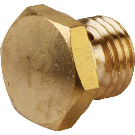Gicleur principal BRIGGS ET STRATTON 798661