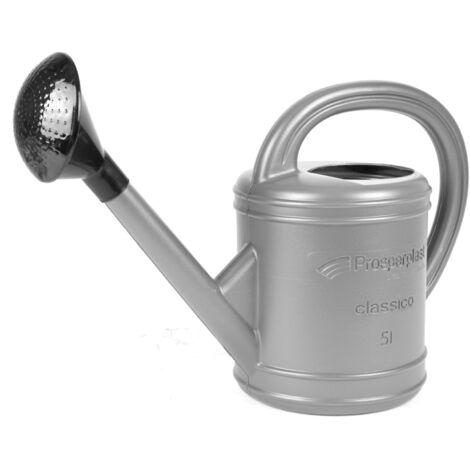 Gießkanne silber 5L mit Brause Blumengießkanne Wasserkanne Blumenkanne Gartenkanne Kanne