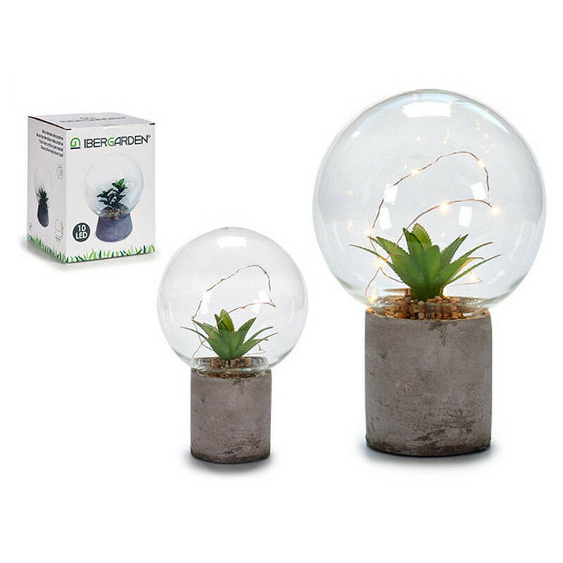 

Lámpara Led Bola Cristal Con Cactus Base Piedra