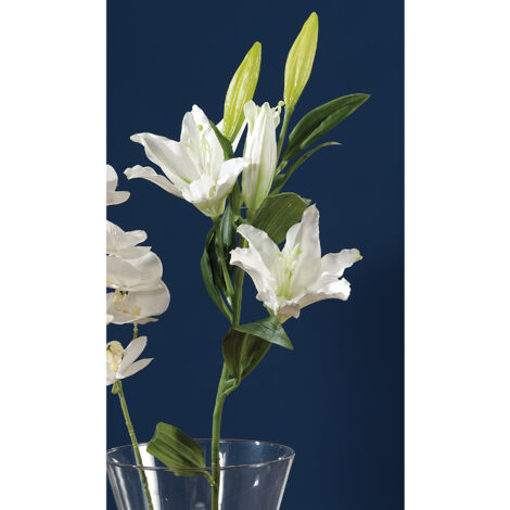 GIGLIO BIA 3FIORI+2BOC X DEC CM88,5