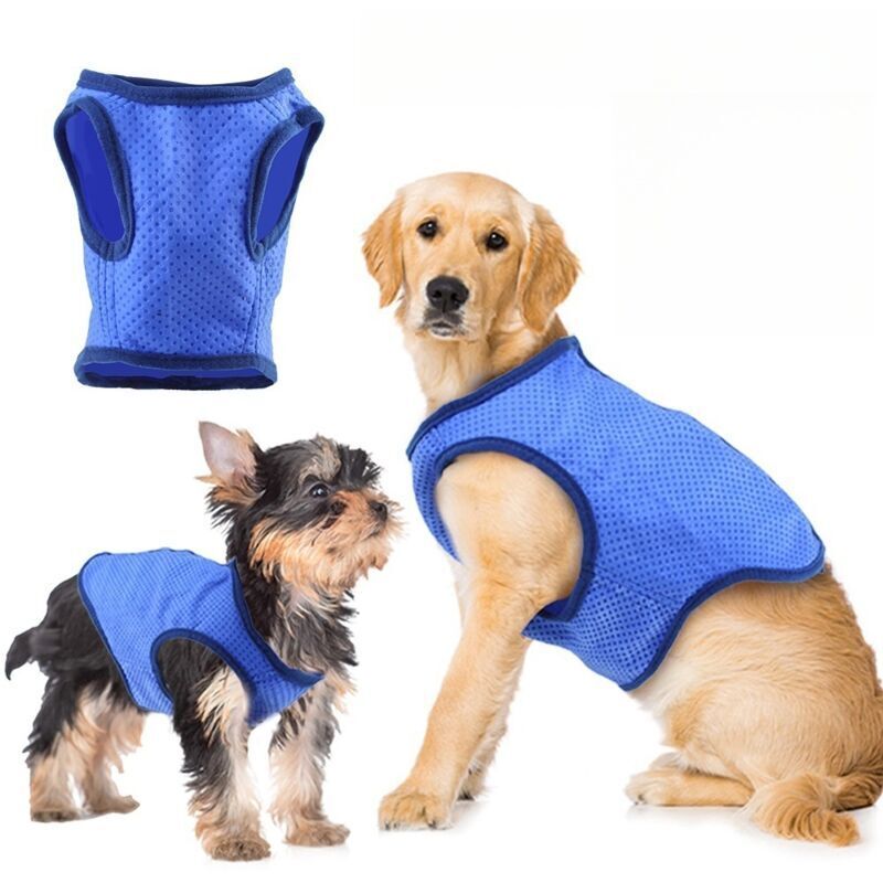 Gilet cool pour chien