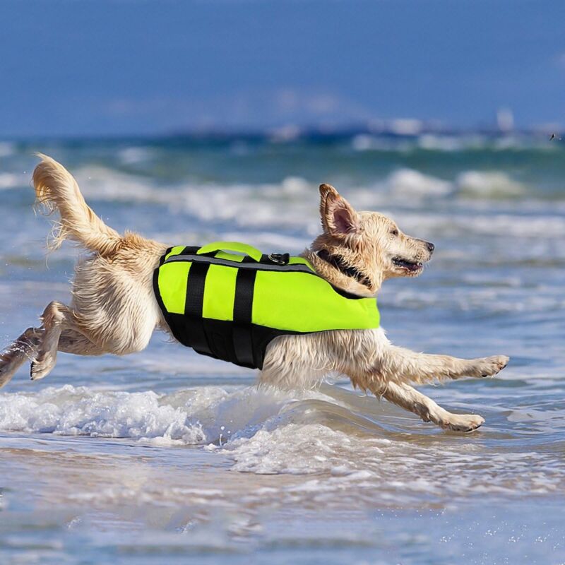Gilet de Sauvetage pour Chien Portable Gilet de Natation pour Chien Gilet de Sauvetage pour Animaux de Compagnie avec Bande Réfléchissante pour Grand