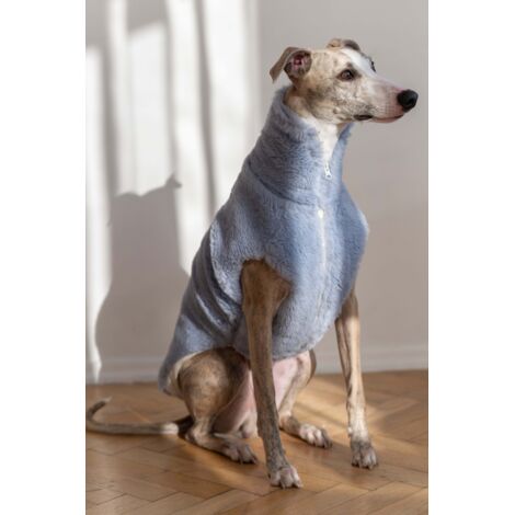 Gilet di lana per cani - Blu 4