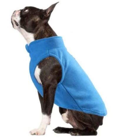 Gilet en polaire pour chien avec anneau pour laisse - Pull doux, chaud et léger pour chiens de petite et moyenne taille, chiots et chats - Veste confortable pour animaux (Bleu, Grande taille 3-4 kg)