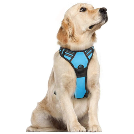 Gilet imperméable pour chien, laisse pour animaux de compagnie, harnais réfléchissant réglable pour chien, bleu ciel
