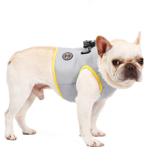 Gilet Rafraichissant Chien, Manteau Chien Rafraichissant Anti-Solaire UPF 50+, Veste Rafraichissante Chien Légère, Vêtement Refrigerant Chien de Refroidissement par Évaporation pour Été(XS)