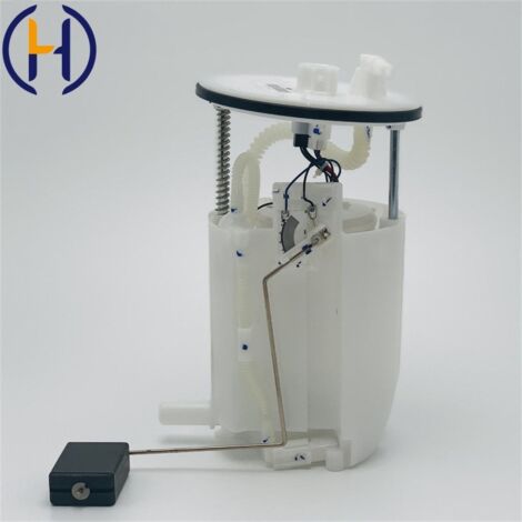 Gilt für die Kraftstoffpumpenbaugruppe Hongqi H7 1106010-MH 1106010MH PW2150A