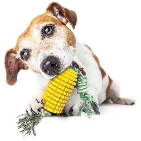 Giocattoli da masticare per cani, adatti a cani che amano masticare, indistruttibili, resistenti, durevoli e interattivi, adatti a cuccioli di piccola, media e grande taglia.