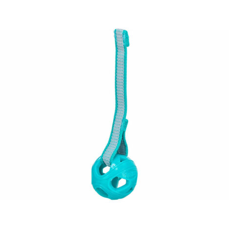 Giocattoli per cani Trixie Turchese ø 6 x 23 cm Sfera