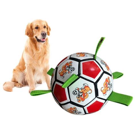 giocattolo da calcio a forma di morso di cane