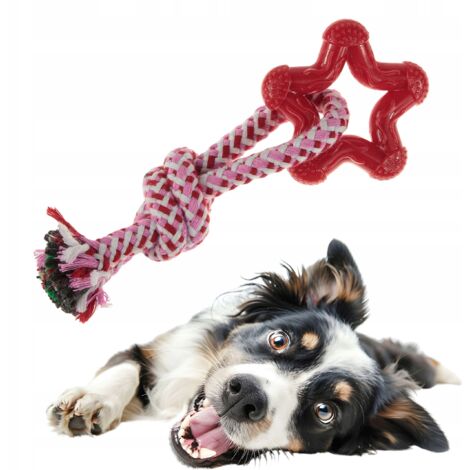 Set Giochi Cane Giocattoli Per Cani Indistruttibili - Set Da 6 Pezzi In Cotone (carote, Ossa E Pi&ugrave;) Gioco Corda Cane