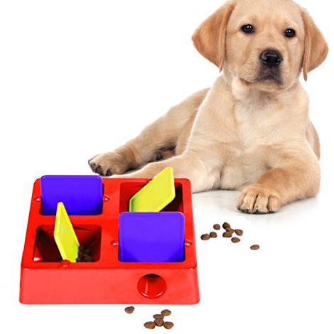 Giochi per addestramento cani