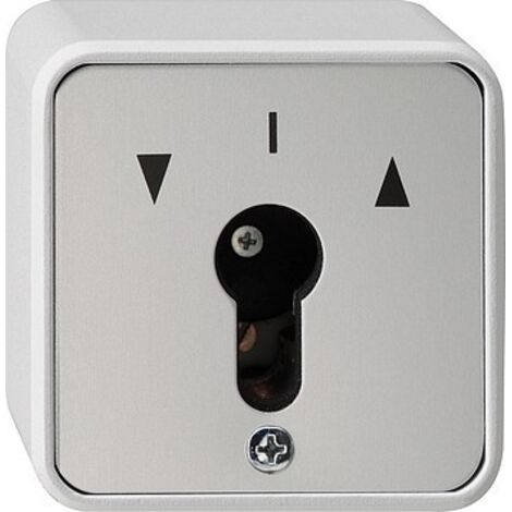 GIRA 014430 SCHL SSELSCHALTER 2POL WG AUFPUTZ GRAU